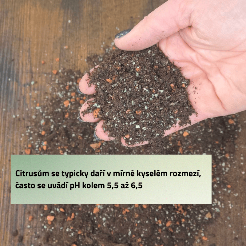 Mix č. 7 Pro Citrusy 1L